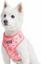 Blueberry Pet Soft & Comfy Floral Rose Dog Harness Vest, Baby Pink, Chest Girth 19.5" - 26", Medium