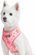 Blueberry Pet Soft & Comfy Floral Rose Dog Harness Vest, Baby Pink, Chest Girth 19.5" - 26", Medium