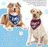 2 LEIFIDE Pieces Gender Reveal Baby Announcement It's a Girl or It's a Boy Dog Bandana Pregnancy Plaid Triangle Pet