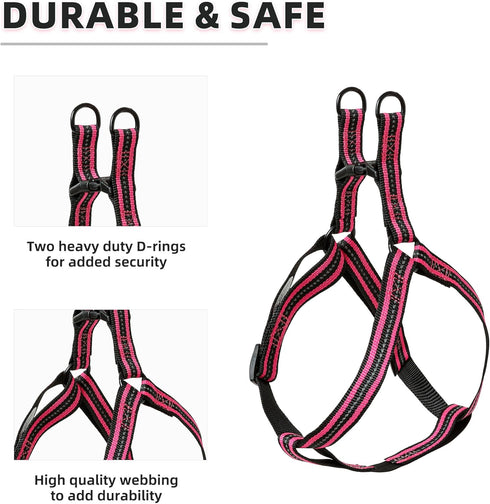 Mile High Life Night Reflective Double Adjustable Band Nylon Small Puppy Pet Dog Combo Collar Leash Set