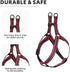 Mile High Life Night Reflective Double Adjustable Band Nylon Small Puppy Pet Dog Combo Collar Leash Set