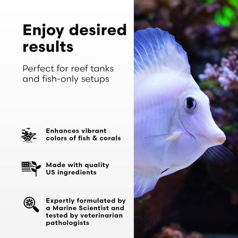 Brightwell Aquatics Replenish, Premium Trace & Minor Element Supplement for Marine Aquariums, 125 ml