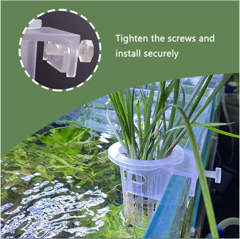 6Pcs Acrylic Aquarium Plant Holder, Top of Tank Aquatic Plant Cups for Fish Tank Decor