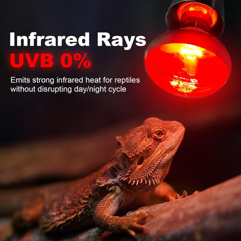 100W Bulbs, 2 Pack Bulbs Bulbs MIXJOY Infrared Heat Lamp Reptile Infrared Heat Emitter Red Heat Lamp Infrared Basking