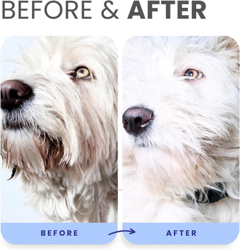 Lillian Ruff PRO Formula Berry Blue Brightening Dog Shampoo + Blueberry Waterless Dog Shampoo - Professional Whitening