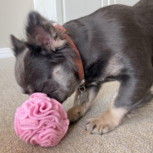 Puppy and Small Breed Snuffle Interactive Foraging Dog Puzzle Ball Toy - Pink