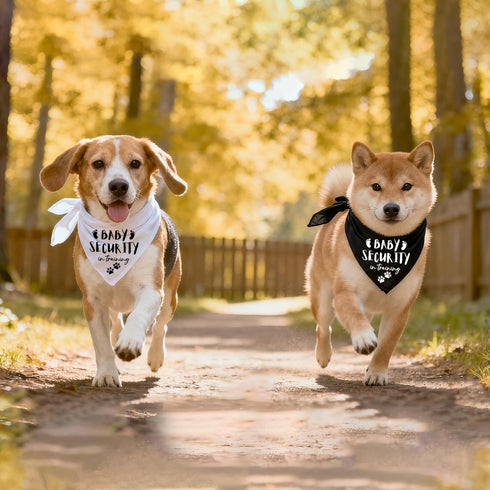 2 Packs Our Humans are Getting us a Baby Dog Bandanas Pet Scarf Pregnancy Announcement Pet Bandana for Dogs Pet