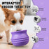 Frozen Treat Dispensing Dog Toy, Long-Lasting Interactive Puzzle Toys for Dogs, Stuffable Dog Enrichment Lick Treat Toy