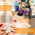 SlowTon Soft Dog Muzzle, Adjustable Padded Nylon Muzzle for Large Medium Dogs, Anti Chewing Barking Biting (Purple, S)