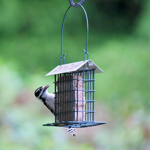 Wild Wings Decorative Metal Suet Cage Feeder for Outdoor Wild Bird Feeders, Black