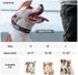 EXCELLENT ELITE SPANKER Puppy Dog Collar - Soft Padded Nylon Adjustable Collar for Small Dogs