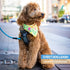BAAPET Dog Leash, 2/4/5/6 FT with Comfortable Padded Handle, Reflective Threads for Small Medium Large Dogs (5FT-1/2'',