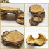 kathson Resin Basking Platform for Turtles, Tortoise Climbing Ramp, Reptile Hides, Aquarium Decorations for Lizards