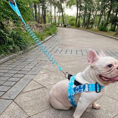 7FT Chew Proof Stretch Dog Leash Cable, Reflective Anti-Pull with Soft Wide Nylon Handle for Small Dogs, Blue