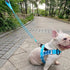 7FT Chew Proof Stretch Dog Leash Cable, Reflective Anti-Pull with Soft Wide Nylon Handle for Small Dogs, Blue