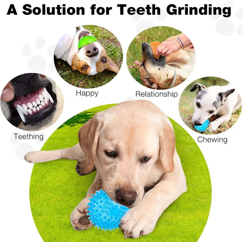 Puppy Toy - 2.5” Squeaky Dog Balls and Spikey Dog Ball for Aggressive Chewers, 6 Pack for Small Dogs