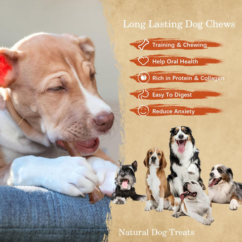 AZRAPAWS 12" 5 Count Standard Bully Sticks for Small, Medium and Large Dogs, Natural Beef Dog Chews Long Lasting, Dog