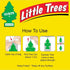 U6P-60397: Little Trees Dragon Fruit