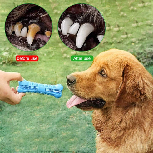 Dog Toothbrush Care Cleaning Stick - Dog Toothbrush Chew Toy Stick for Dog Dental Care- Safe, Bite Resistant Natural