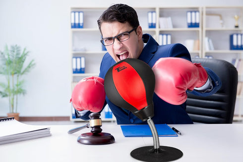 Tech Tools Stress Buster Desktop Punching Bag - Suctions to Your Desk, White Elephant Gifts for Coworker Men and Women