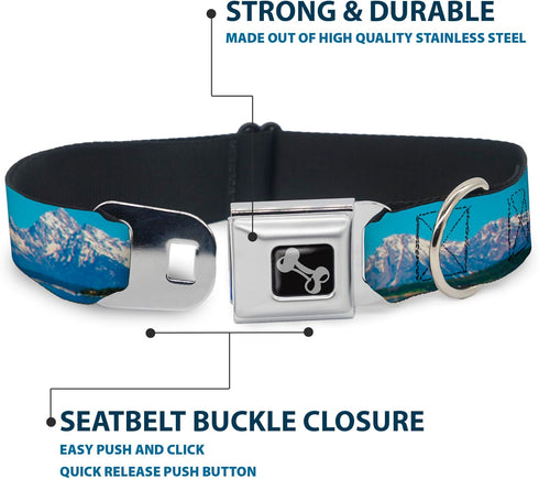 Dog Collar Seatbelt Buckle, 1.5" Wide, Fits 18-32" Neck, Large