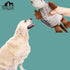 Hollypet Plush Squeaky Dog Toys, Big Armadillo Chew Toy for Small Medium Large Dogs, Dark Gray, Clean Teeth