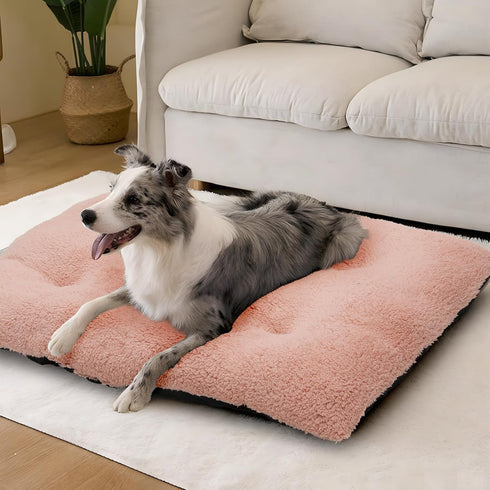 Magshion Medium Dog Bed - Non-Slip Bottom, Warming Cozy Soft Pet Sofa Bed, Machine-Washable, 34.5"x26"x5.5", Beige