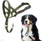 HALTI Headcollar for Large Dogs - Adjustable, Reflective, Lightweight with Padded Nose Band to Stop Pulling on Leash
