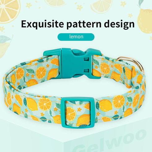 Adjustable Lightweight Cute Dog Collar for Girl Female Boy Dogs, Soft Summer Collar with Lemon Design for Small Medium