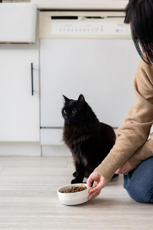 Pearhead Paws Off Ceramic Cat Bowl - Small Food and Water Bowl for Cats, Microwave & Dishwasher Safe