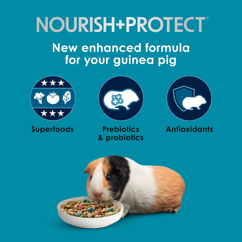 Immune 5 Kaytee Forti-Diet Pro Health Nourish+Protect Guinea Pig Food, Comprehensive Nutrition Backed by Science