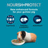 Immune 5 Kaytee Forti-Diet Pro Health Nourish+Protect Guinea Pig Food, Comprehensive Nutrition Backed by Science