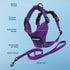 Voyager Step-in Lock Adjustable Cat Harness with Leash Combo Set, Neoprene Handle 5ft, Purple, XXS