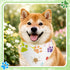 100 Set (19.7 13.8 13.8 Inch) Abbylike Pcs Paw Print Dog Bandanas Bulk Soft Triangle Kerchief Bibs Scarf for Pets Dogs