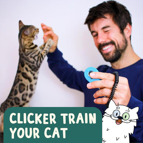 Communication OutdoorBengal The Click Crusade Cat Clicker Training Card Game for Pet Training with Clicker - Train Cats