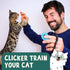 Communication OutdoorBengal The Click Crusade Cat Clicker Training Card Game for Pet Training with Clicker - Train Cats