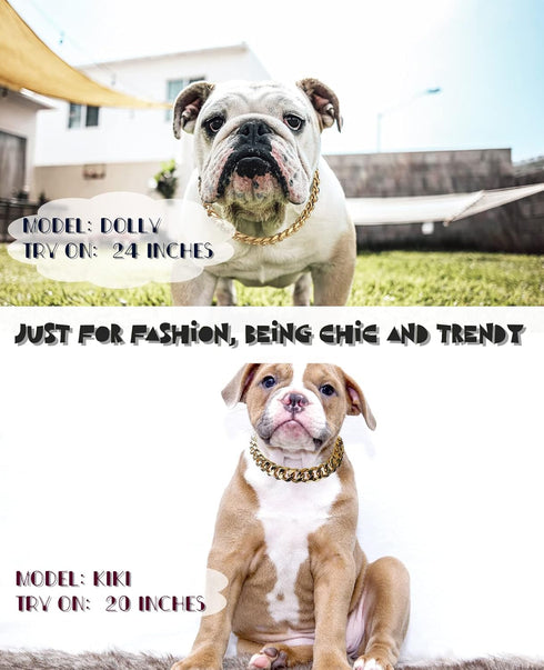 Cuban Link Dog Collar - Light Metal Gold Chain Necklace, 3/4 inch Wide, 20 inches, Cute Fashion for Frenchie, Bully,
