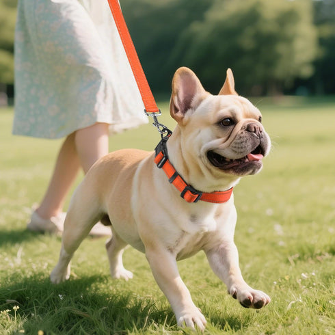 Joytale Dog Collar, Soft Neoprene Padded Breathable Nylon Pet Collar, Adjustable for Small Dogs, Orange, Size S