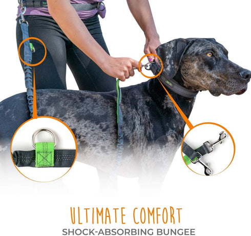 Mighty Paw Hands Free Dog Leash | Bungee Waist Leash for Dog Walking, Pet Waist Belt (36" - 48") - Gray, Up to 150 lbs