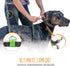 Mighty Paw Hands Free Dog Leash | Bungee Waist Leash for Dog Walking, Pet Waist Belt (36" - 48") - Gray, Up to 150 lbs