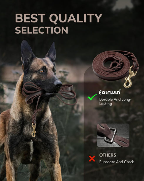 FAIRWIN Leather Dog Leash, 6 Foot, Braided Military Grade Heavy Duty for Large Medium Small Dogs, Brown, XL: 1" x 6ft