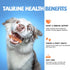 (20 10.6 oz) ASMPET Dog Treats Chews, Chicken Wrapped Rawhide Sticks Dog Snacks for Training Rewards pcs
