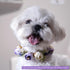 Pet Flower Collar with Adjustable Ribbon, Small Dog Wedding Attire, Purple Floral Collar for Dogs, Cats, and Puppies