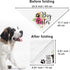 2 Packs Big Sister Brother Pregnancy Announcement Dog Bandana, Gender Reveal Photo Prop, Pet Scarf Accessories