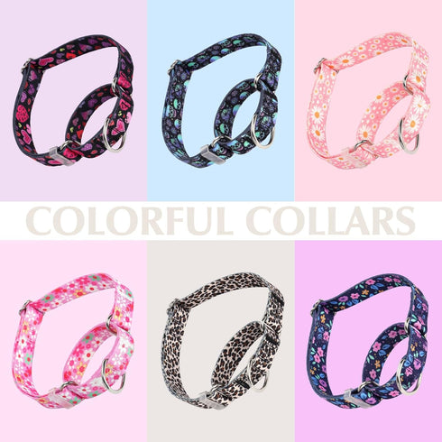 Martingale Collar for Dogs - Medium Large Adjustable Soft Nylon with Pink Daisy Floral Design, No Slip Training Collar