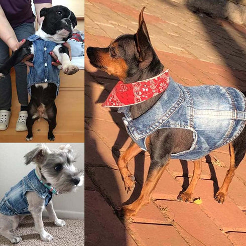 Jean Jacket Puppy Blue Denim Lapel Vest Coat - Dog T-Shirt Clothes for Small Medium Dogs Cats (XS)