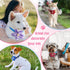 Reginary 20 Pcs Dog Collar Flowers, 3.35 Inch Multi Color Bow Ties for Puppy Dog Cat Collar Grooming Accessories