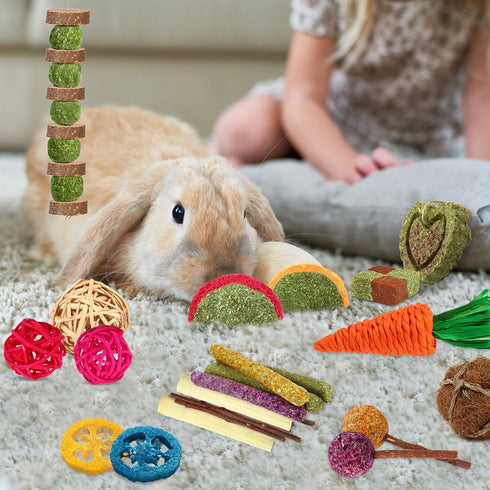 Rabbit Toys Bunny Chew Toys for Teeth, Natural Timothy Hay Sticks Treats and Apple Wood Sticks for Chinchilla and