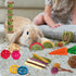 Rabbit Toys Bunny Chew Toys for Teeth, Natural Timothy Hay Sticks Treats and Apple Wood Sticks for Chinchilla and