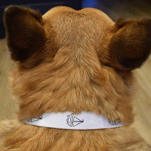 Azeeda (PR00067371) Small 'Sail Boat Toy' Dog Collar